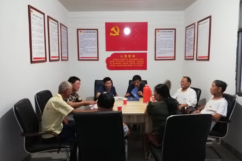 揭秘站群程序的购买与使用趋势