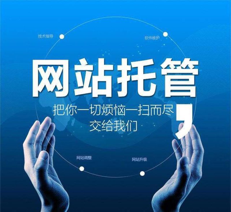 SEO 站群运营现状与趋势